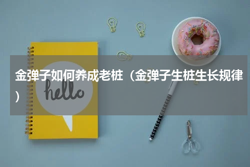 金弹子如何养成老桩（金弹子生桩生长规律）