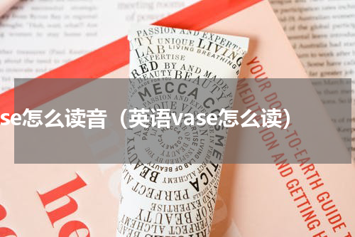 vase怎么读音（英语vase怎么读）