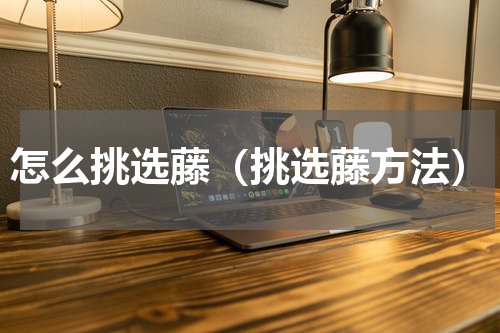 怎么挑选藤（挑选藤方法）