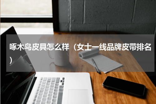 啄木鸟皮具怎么样（女士一线品牌皮带排名）