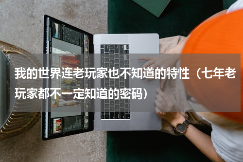 我的世界连老玩家也不知道的特性（七年老玩家都不一定知道的密码）