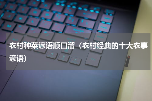农村种菜谚语顺口溜（农村经典的十大农事谚语）