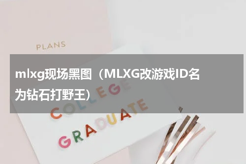 mlxg现场黑图（MLXG改游戏ID名为钻石打野王）
