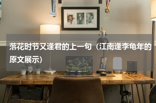 落花时节又逢君的上一句（江南逢李龟年的原文展示）