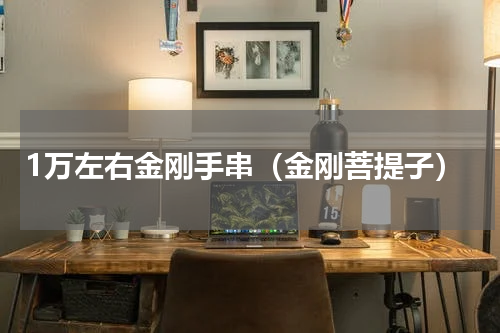 1万左右金刚手串（金刚菩提子）