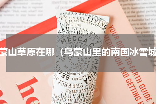 乌蒙山草原在哪（乌蒙山里的南国冰雪城）