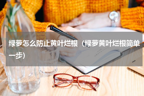 绿萝怎么防止黄叶烂根（绿萝黄叶烂根简单一步）