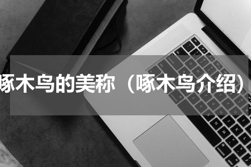 啄木鸟的美称（啄木鸟介绍）