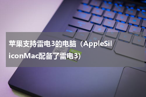苹果支持雷电3的电脑（AppleSiliconMac配备了雷电3）