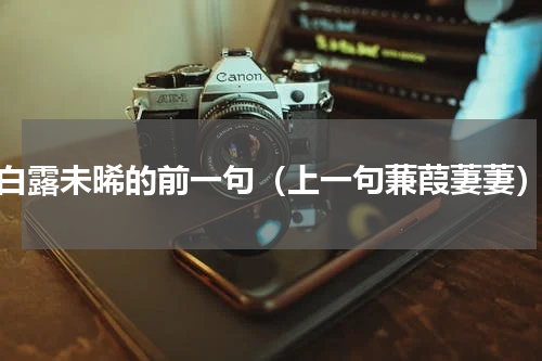 白露未晞的前一句（上一句蒹葭萋萋）