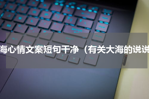大海心情文案短句干净（有关大海的说说）