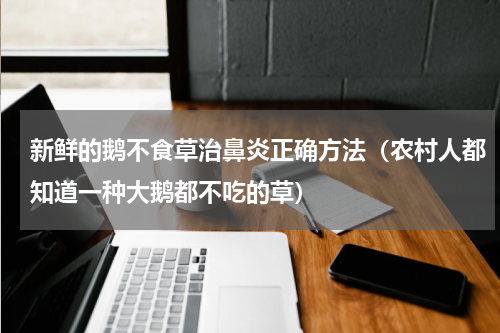 新鲜的鹅不食草治鼻炎正确方法（农村人都知道一种大鹅都不吃的草）
