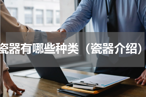 瓷器有哪些种类（瓷器介绍）