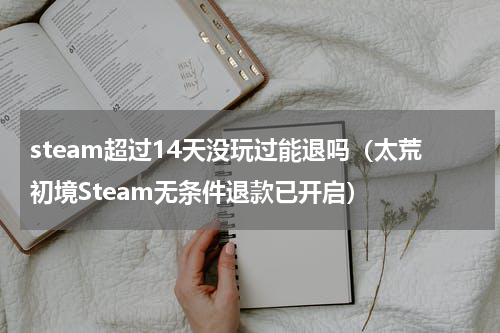 steam超过14天没玩过能退吗（太荒初境Steam无条件退款已开启）