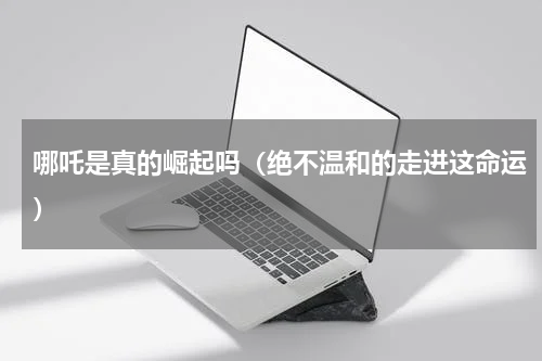 哪吒是真的崛起吗（绝不温和的走进这命运）