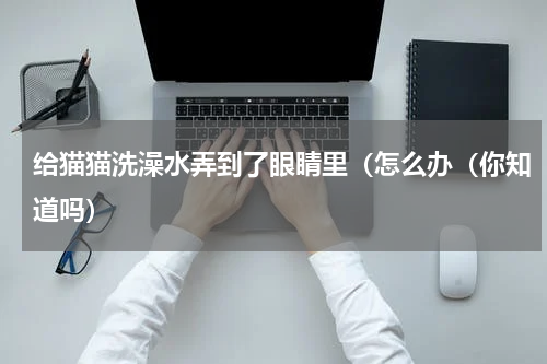 给猫猫洗澡水弄到了眼睛里（怎么办（你知道吗）