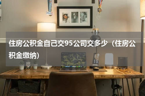 住房公积金自己交95公司交多少（住房公积金缴纳）