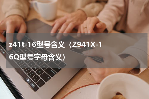 z41t-16型号含义（Z941X-16Q型号字母含义）