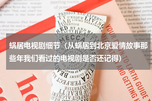 蜗居电视剧细节（从蜗居到北京爱情故事那些年我们看过的电视剧是否还记得）