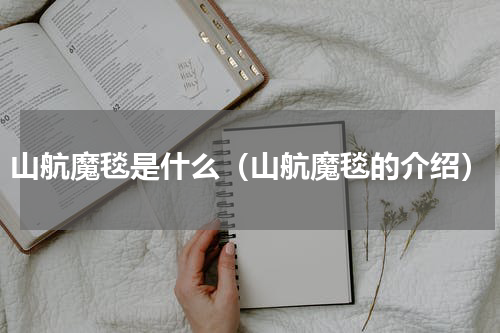 山航魔毯是什么（山航魔毯的介绍）