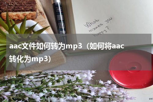 aac文件如何转为mp3（如何将aac转化为mp3）