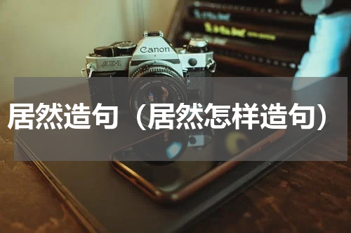 居然造句（居然怎样造句）