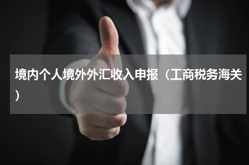 境内个人境外外汇收入申报（工商税务海关）