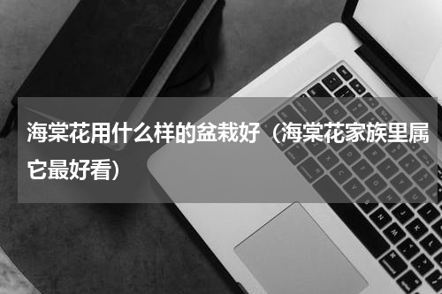 海棠花用什么样的盆栽好（海棠花家族里属它最好看）