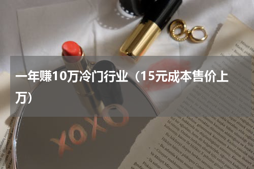 一年赚10万冷门行业（15元成本售价上万）