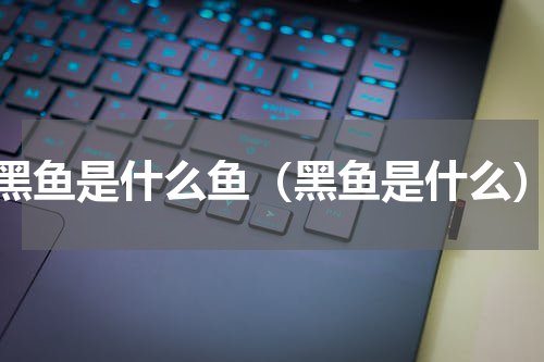 黑鱼是什么鱼（黑鱼是什么）