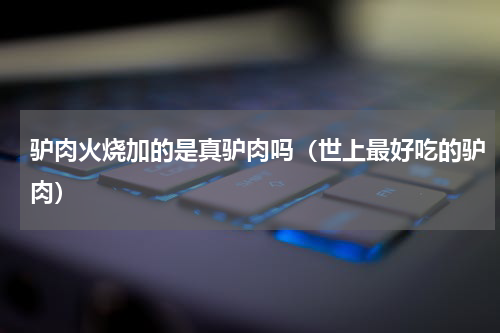 驴肉火烧加的是真驴肉吗（世上最好吃的驴肉）