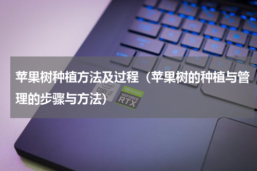 苹果树种植方法及过程（苹果树的种植与管理的步骤与方法）