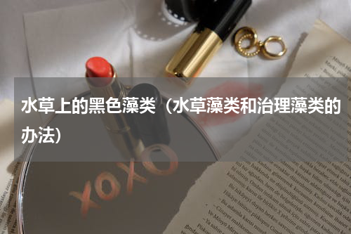 水草上的黑色藻类（水草藻类和治理藻类的办法）