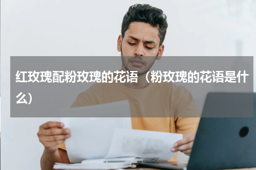 红玫瑰配粉玫瑰的花语（粉玫瑰的花语是什么）