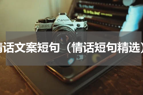 情话文案短句（情话短句精选）