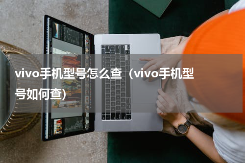 vivo手机型号怎么查（vivo手机型号如何查）