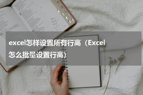 excel怎样设置所有行高（Excel怎么批量设置行高）