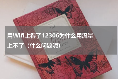 用Wifi上得了12306为什么用流量上不了（什么问题呢）