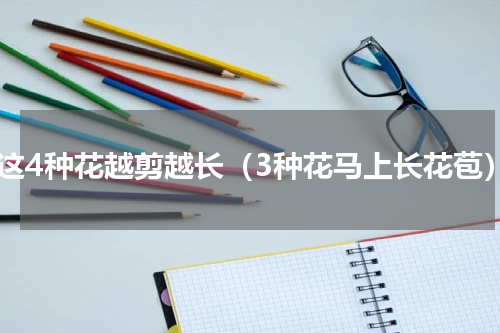 养这4种花越剪越长（3种花马上长花苞）