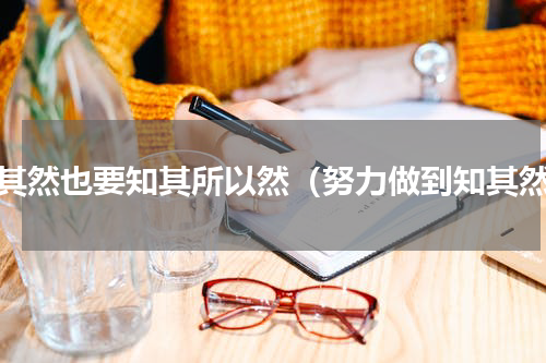 知其然也要知其所以然（努力做到知其然）