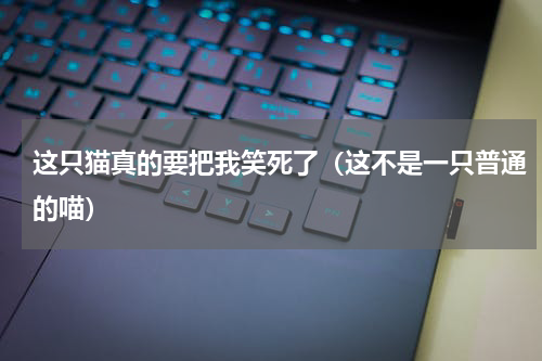 这只猫真的要把我笑死了（这不是一只普通的喵）