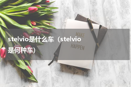 stelvio是什么车（stelvio是何种车）