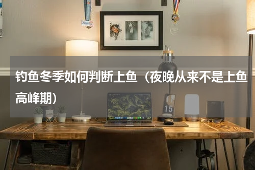 钓鱼冬季如何判断上鱼（夜晚从来不是上鱼高峰期）