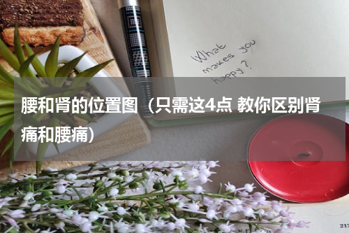 腰和肾的位置图（只需这4点 教你区别肾痛和腰痛）