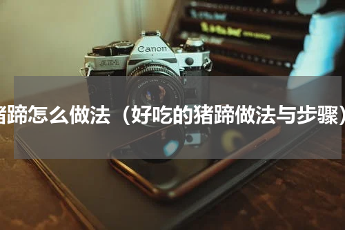 猪蹄怎么做法（好吃的猪蹄做法与步骤）