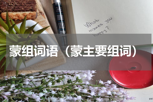 蒙组词语（蒙主要组词）