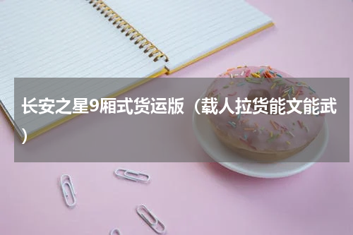 长安之星9厢式货运版（载人拉货能文能武）
