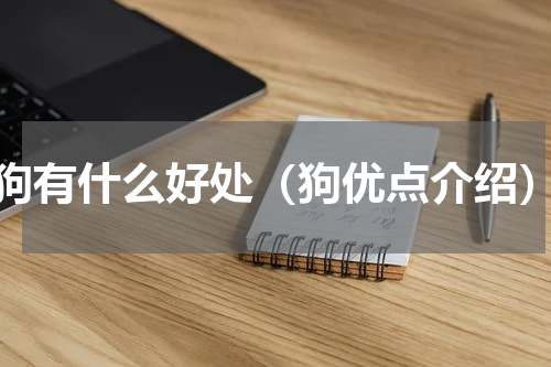狗有什么好处（狗优点介绍）