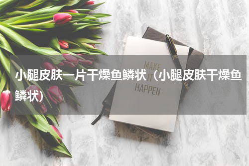 小腿皮肤一片干燥鱼鳞状（小腿皮肤干燥鱼鳞状）