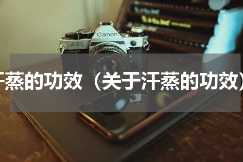汗蒸的功效（关于汗蒸的功效）